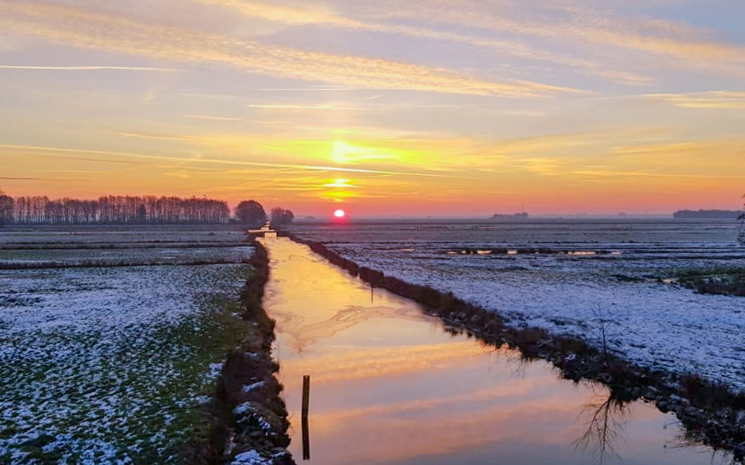 Landwirtschaft – Impressionen