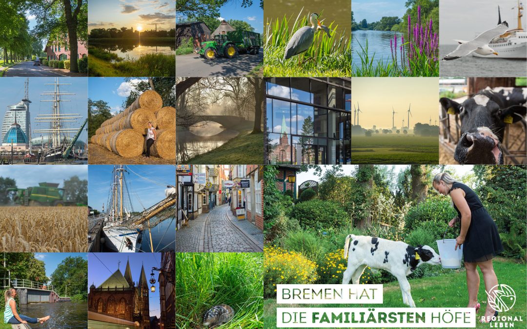 Folge uns auf instagram