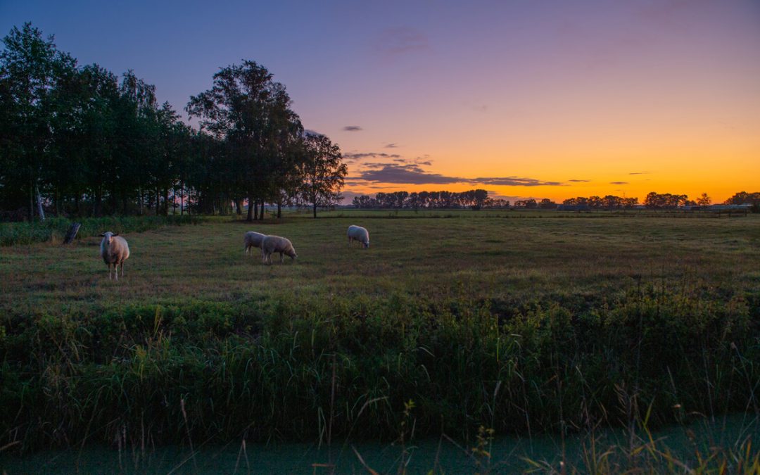Das lassen wir nicht unkommentiert