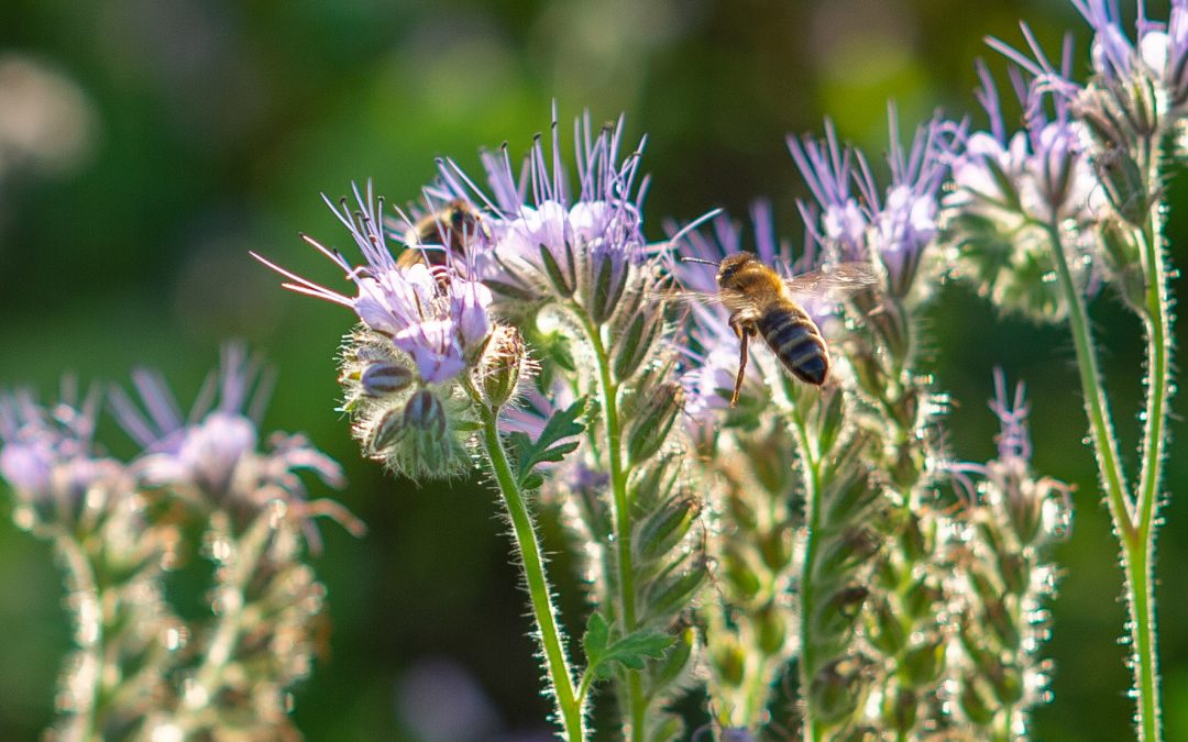Das lassen wir nicht unkommentiert