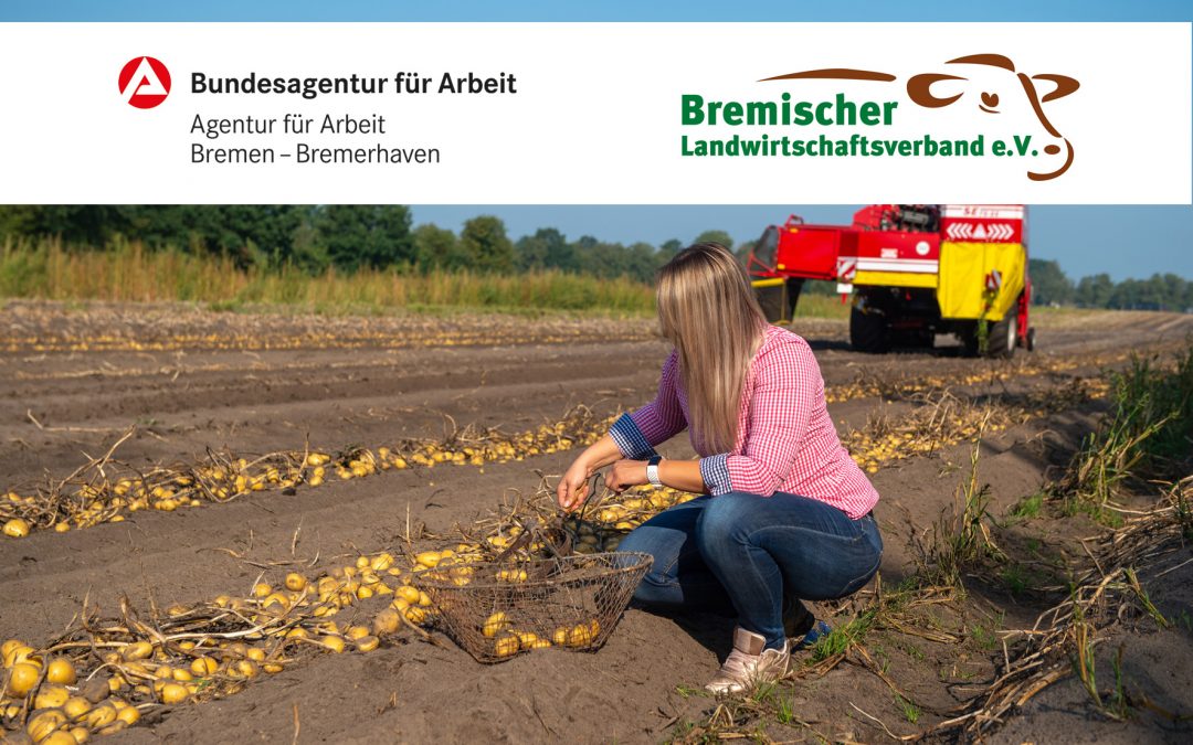 Saisonkräfte gesucht?!