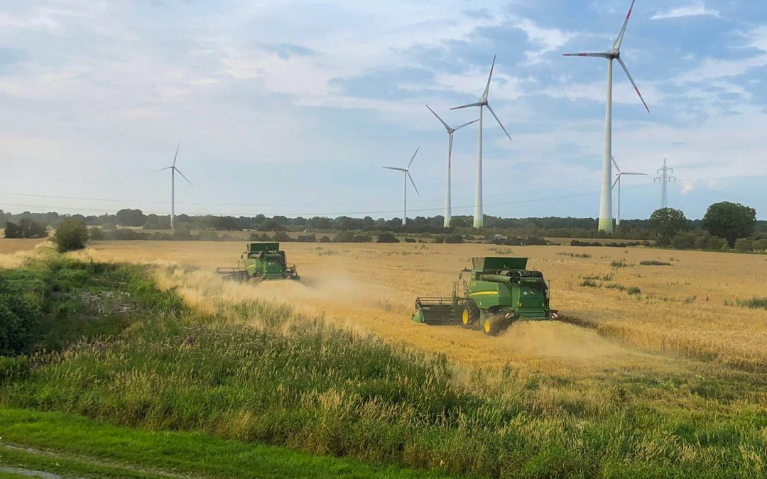 Ernte in vollem Gange