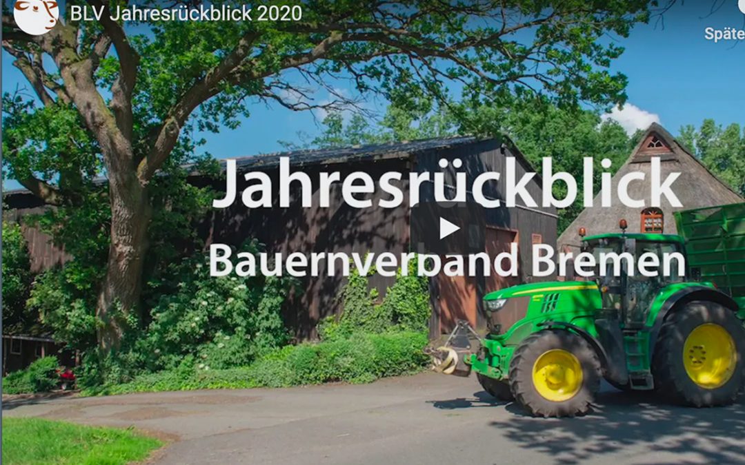 Jahresrückblick 2020