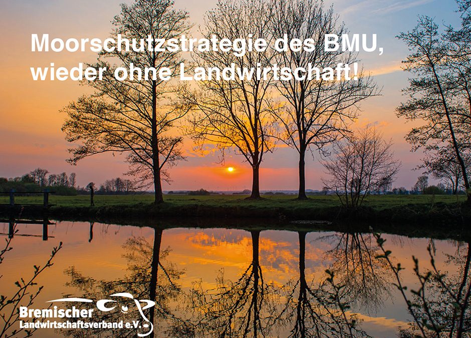 Moorschutzstrategie ohne Landwirtschaft?!