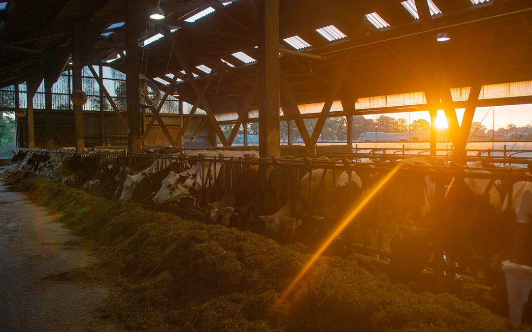 Landwirtschaft heute – unsere Position